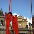 Imagen anterior