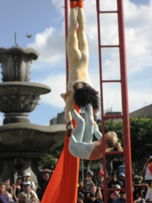 IMG_1884 IMG_1884