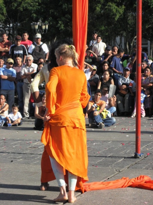 IMG_1945 IMG_1945