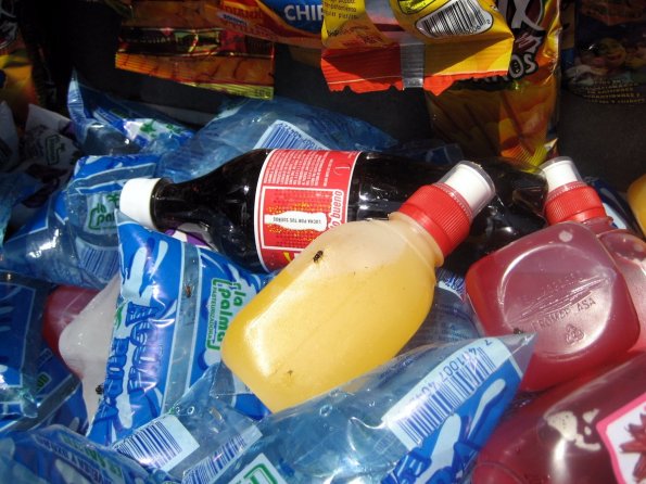 Moscas en las aguas :S