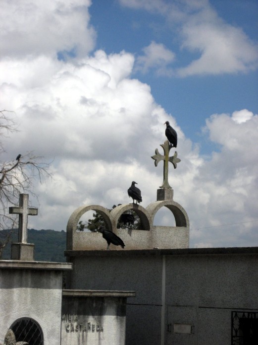 img_2267 img_2267
