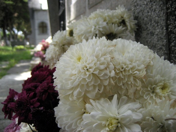 img_2302 img_2302