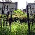 en abandono