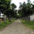 Imagen anterior