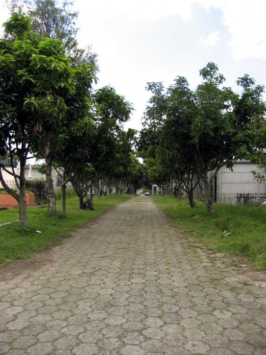 Rumbo al más allá Rumbo al más allá