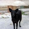 Â¿Guardian de tumbas?