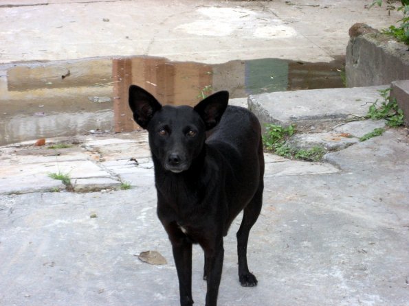 Â¿Guardian de tumbas?