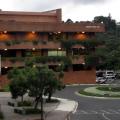 Universidad Francisto Marroquin