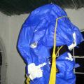 Imagen anterior