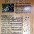 Imagen anterior