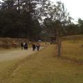 Imagen anterior