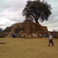 Imagen anterior