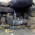 Imagen anterior