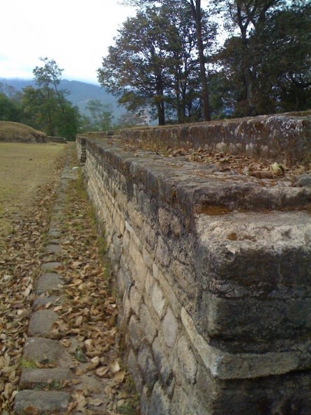Muro perimetral del patio