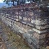 Muro perimetral del patio