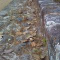 Muro perimetral del patio
