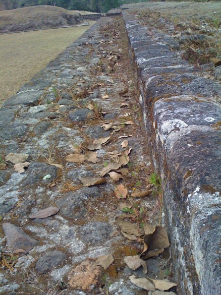 Muro perimetral del patio