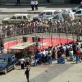 Los Tigres llegan al palacio