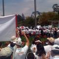 Manifestantes