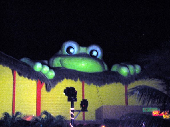 SeÃ±or Frogs en CancÃºn