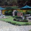Imagen anterior