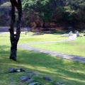 Campo principal del "rancho"