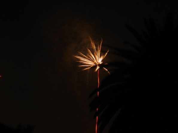 IMG_3986