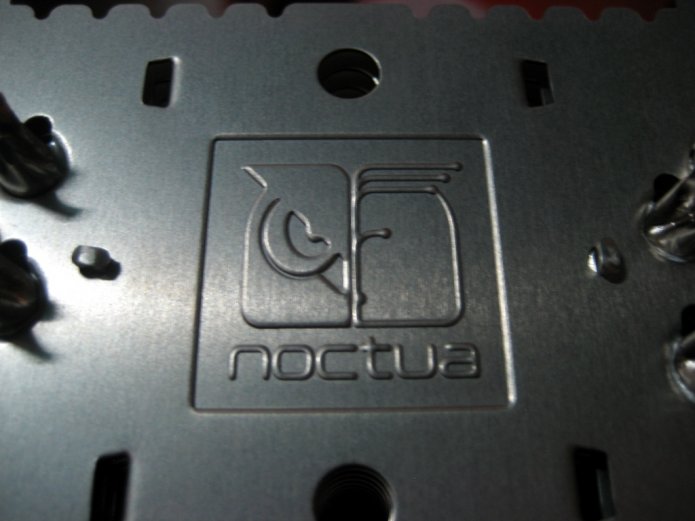 Noctua Noctua