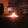 Imagen siguente