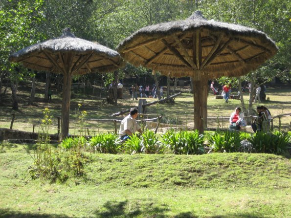 Ãrea de descanzo