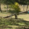 Sube y baja