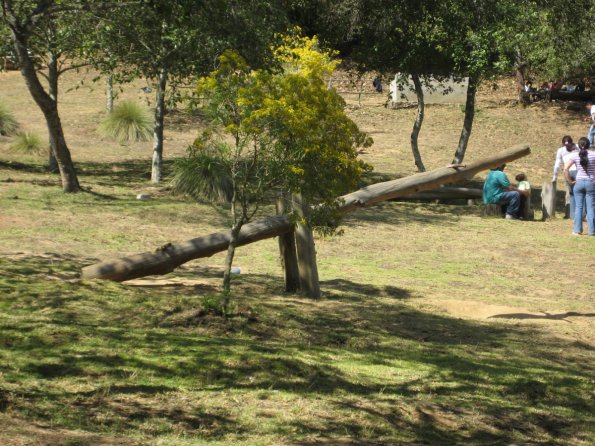 Sube y baja